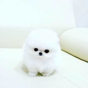 Meet your Posher, Kathie